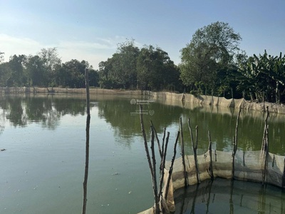 Bán đất ruộng hcm view sông hcm phù hợp đầu tư lâu dài - gần khu dân có tiềm năng tương lai 4