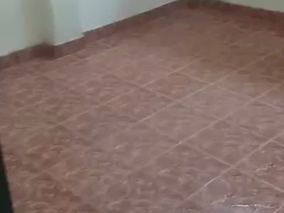Phòng trọ cho thuê giá rẻ tại 184/50/10 lý chính thắng, phường 9, q3, tp.hcm 1