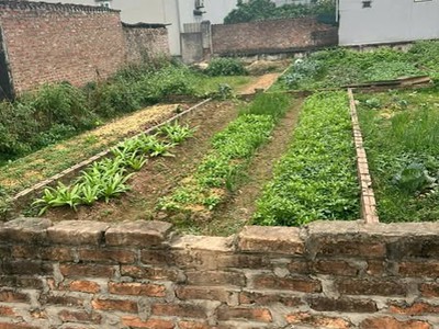 Chủ cần bán 40m2, mt3.7m, 2.8 tỷ, xuân nộn  cũ , thư lâm, hà nội. 0