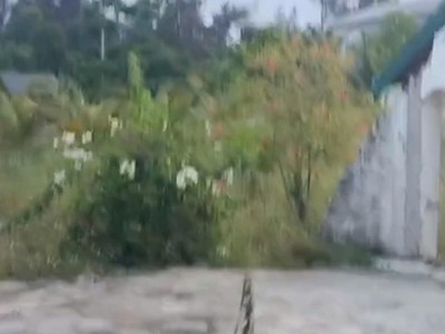 Sở hữu ngay đất đẹp - giá tốt - vị trí đắc địa tại hồng phong, xã tiên trang, huyện quảng xương, 3
