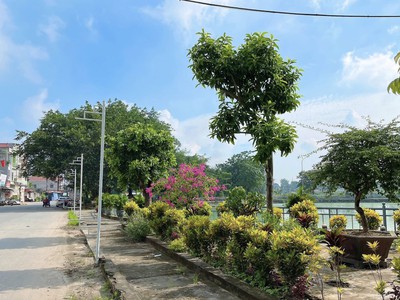 Bán đất đấu giá phúc thọ, giá 4x, ô góc mt 8m 2