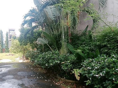 Cơ hội đầu tư  đất phân lô  quận 12, tân thới hiệp 9 - 962m2 ngang 27m x37m chỉ 31 tỷ 2