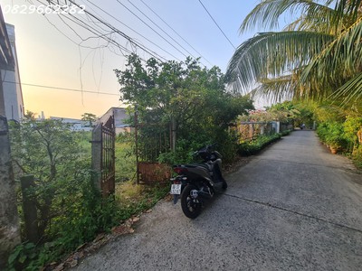 Bán đất thổ cư 156m , đường làng hoa sa đéc, đồng tháp - 1 tỷ 350 3