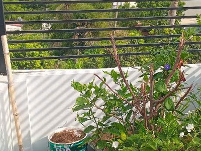 Bán nhà vừa ở vừa cho thuê  5 tỷ xx, 68m2, 5pn, 6wc tại lã xuân oai, tăng nhơn phú a, thủ đức 4