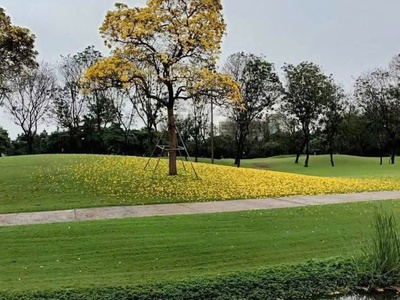 ‍♂【biệt thự sân golf vân trì độc nhất vô nhị - chỉ 220 tỷ - view fairway trực diện】 3