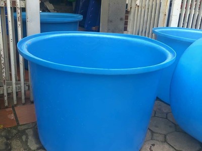 Thùng nhựa tròn 350lit trồng cây và nuôi cá trên sân thượng 1
