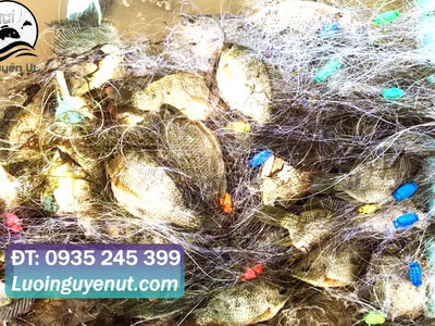 Sỉ lẻ lưới ba màn Thái Lan 1