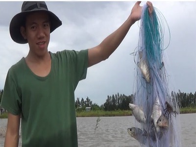 Lưới giăng cá lớn HCM 1