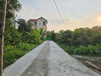 Chính chủ bán lô góc 444,2m2 đất Kim Sơn, Thuận An, Gia Lâm. Cách 10m ra đường đê ô tô đỗ tránh. 0