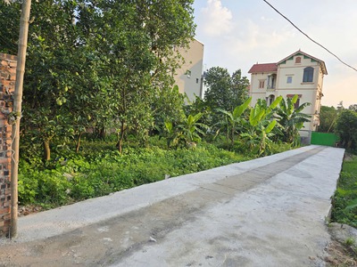Chính chủ bán lô góc 444,2m2 đất Kim Sơn, Thuận An, Gia Lâm. Cách 10m ra đường đê ô tô đỗ tránh. 1