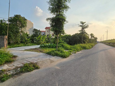 Chính chủ bán lô góc 444,2m2 đất Kim Sơn, Thuận An, Gia Lâm. Cách 10m ra đường đê ô tô đỗ tránh. 2