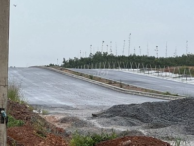 Cơ hội đầu tư sinh lời 1