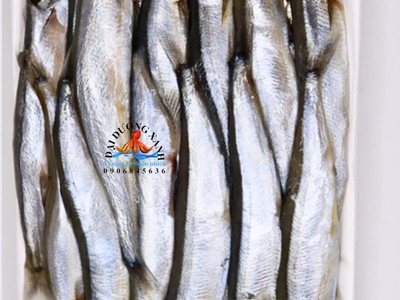 Cá trứng 0