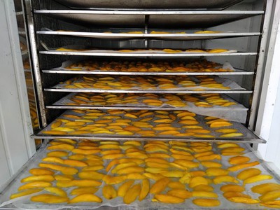 Nâng tầm trái Xoài Việt: Công nghệ sấy dẻo công nghiệp làm nên sự khác biệt 0