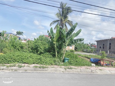 Bán lô đất mặt đường thôn Tân Phong, Kiến Thụy - Hải Phòng 3