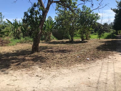 Bán đất mặt tiền đường nhựa Nguyễn Thế Toàn   Gia Kiệm, Thống Nhất, Đồng Nai   Diện tích 161m 1