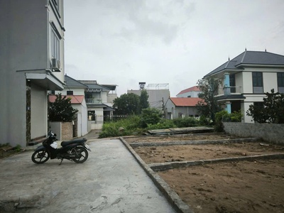 Hàng hot xâm động. vân tảo. thường tín 2