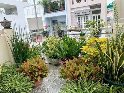 Nhà 3 tầng bông sao p5.q8. giá: 6,3 tỷ tl 2
