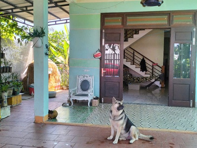 Nhà sân vườn, đường ô tô có lề, tx điện bàn, 200m2 ngang 8m, cách biển 2km, nhỉnh 2 tỷ 0