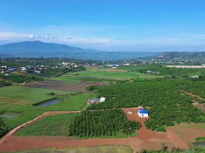 Đan phượng-lâm hà-lâm đồng dt hơn 1000m2 sẵn 100m2 thổ cư mặt tiền bê tông 13m cách nhựa liên xã 4