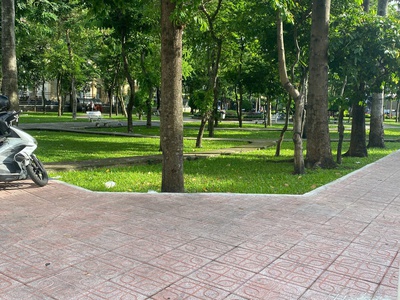 Nhà bán 5 x 20m, ngay khu trung tâm p5 q8, giá 17 tỷ 3