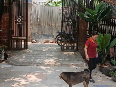 Bán nhà 16/23/18 đường số 9, bình hưng hoà, quận bình tân - hcm 1
