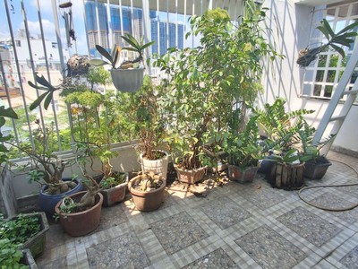 Mặt tiền 90m2 - giá 14.2 tỷ - ngay chợ Phú Thuận - Cao Thị Chính, Q7 5