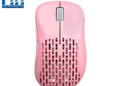 Chuột Pulsar Xlite Wireless V2 Competition Pink - Hiệu Năng Trong Lòng Bàn Tay 0
