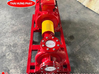 Máy bơm điện trục rời Stella STR100-250/55 55kW 0