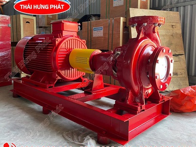 Máy bơm điện trục rời Stella STR100-250/75 75kW 0