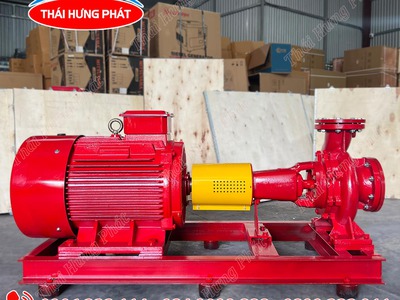 Máy bơm điện trục rời Stella STR80-250/55 55kW 0