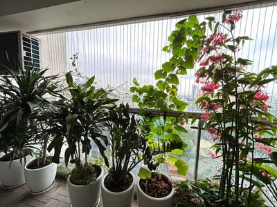 Giá rẻ bán nhanh  Chung cư HTT Tower 197 Trần Phú 90m2, 2 ngủ, 2 vs chỉ 4.4 tỷ 5