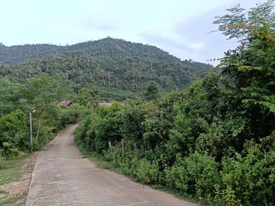 Cần bán đất chính chủ - xã tư, đông giang, quảng nam 3