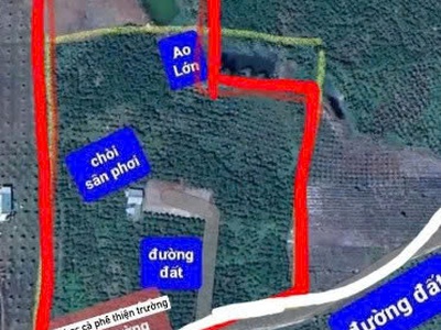 Chính chủ cần bán lô đất vườn cà phê thiện trường tại bảo lâm - lâm đồng 1
