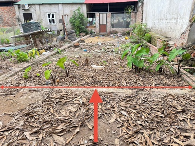 Cơ hội đầu tư bds kim hoa, mê linh. sổ đỏ chính chủ. đón sóng đường vành đai 4 1