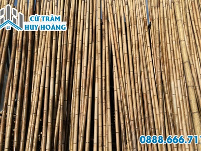 Bán cây tre làm giàn mướp giá rẻ tại TPHCM 0