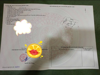 Bán lô góc cạnh việt mỹ 2 tại thôn nghĩa lai cách hải dương 0