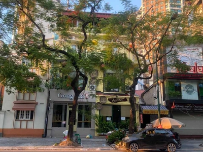 Siêu phẩm, đẳng cấp, thông số hoa hậu  bán nhà mp lý thường kiệt 135m2, mt 9m - 196 tỷ 0