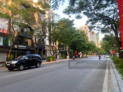 Siêu phẩm, đẳng cấp, thông số hoa hậu  bán nhà mp lý thường kiệt 135m2, mt 9m - 196 tỷ 1
