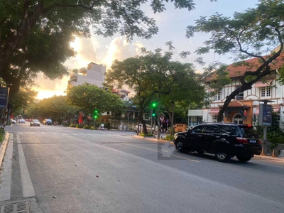 Siêu phẩm, đẳng cấp, thông số hoa hậu  bán nhà mp lý thường kiệt 135m2, mt 9m - 196 tỷ 3