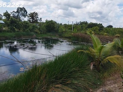 Bán đất vườn mặt tiền, xã hòa long, lai vung, đồng tháp. 4.4ha, 22 tỷ, sổ hồng. 2