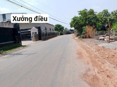 Chính chủ bán 1000m2 đất mặt tiền đường nhựa thị trấn thanh bình, huyện bù đốp, bình phước. 2