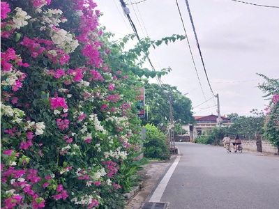 Đáng chú ý- bán gấp đất -chính chủ 76 m đất - văn giang - hưng yên  gần ecopark - mt 6.5m sđcc. nở 2