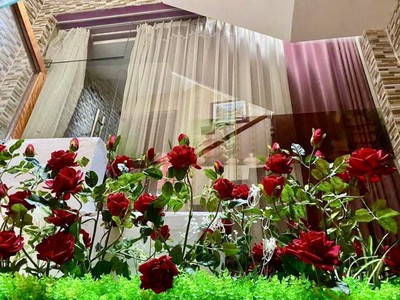 Mặt tiền nguyễn hoàng, 55m2, 4 tầng đẹp, kinh doanh, 8.x tỷ 4