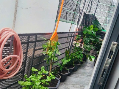 Bán nhà 1t1l mới tinh, kdc b5 tân hiệp, đường nhựa 6m chỉ 5,3 tỷ 3