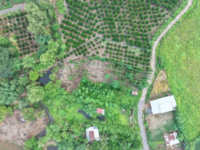 3.200m  đất vườn đá bạc 200 thổ cư  view suối, hồ cá   giá 1,2 triệu/m 2