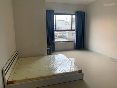 Cho thuê căn hộ studio chung cư botanica premier 4