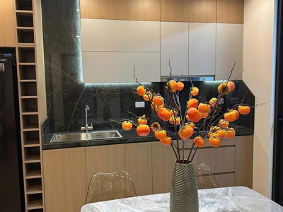 Chính chủ cần bán 3n, 2wc full nội thất chung cư n03 trần quý kiên, cầu giấy, hà nội, chỉ hơn 5 tỷ 0