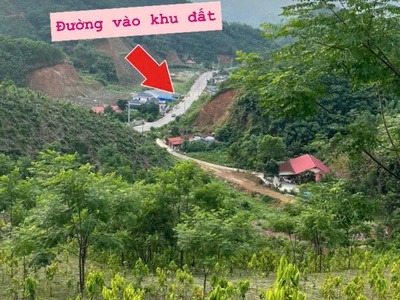 Chính chủ cần chuyển nhượng lại 3 ha quế tại phường đức xuân - thái nguyên 0