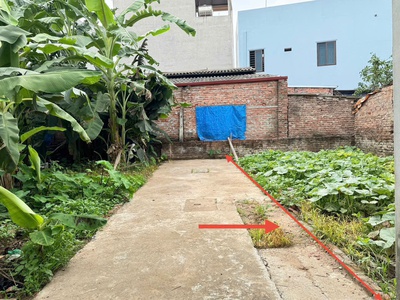 Bán 50,5m đất thôn tráng việt, xã tráng việt, mê linh. đón sóng cầu thượng cát 1